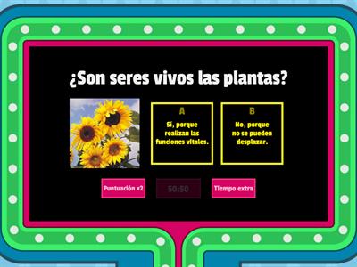 LAS PLANTAS