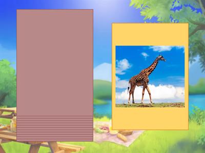 Животные 2 (Привет)