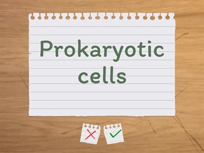 Prokaryote and Eukaryote Flash cards