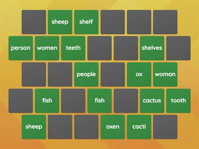 PAIRS: English irregular plurals 