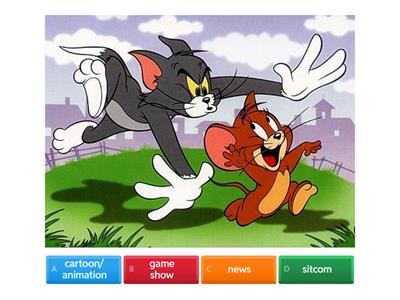 Types of TV programmes 