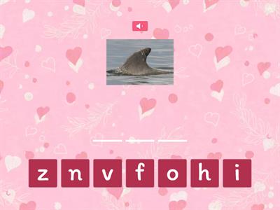 IMSE Lesson 22, w, /w/