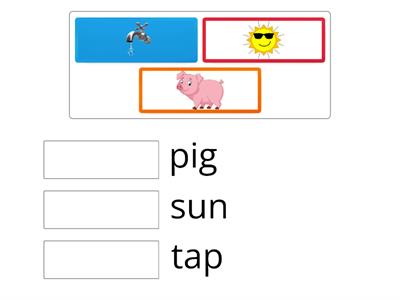 Reading Accuracy CVC words