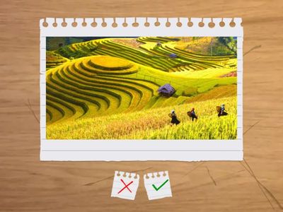 E8 Global - Unit 4 Ethnic groups of VN