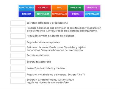 SISTEMA ENDOCRINO 