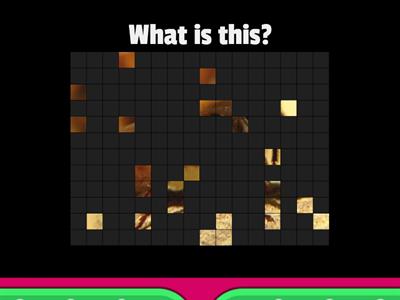 Review vocabulary 5-6