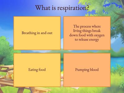 P.5 Science - The air and respiration(1)