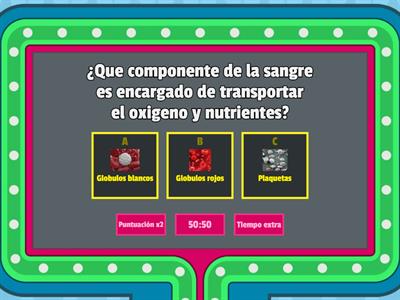 Sistema circulatorio