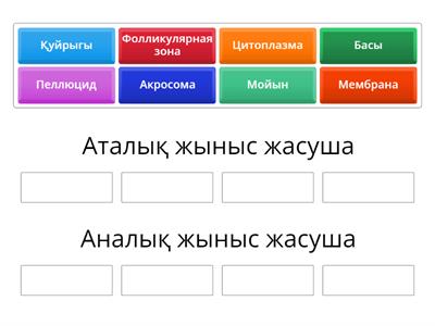 Чуркалардың секс видеолары