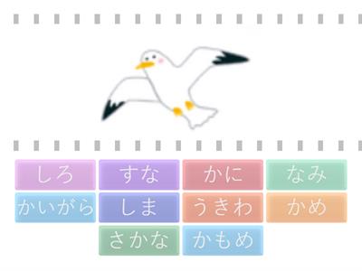 うみ ①【語彙】
