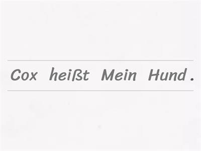 Bringe die Sätze in die richtige Reihenfolge. A1 Prima Plus