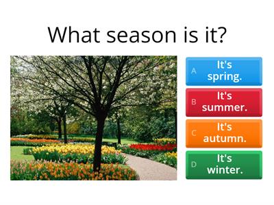 Seasons quiz