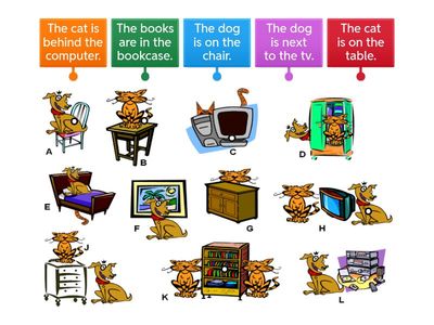 Prepositions of place - WHERE'S THE CAT?