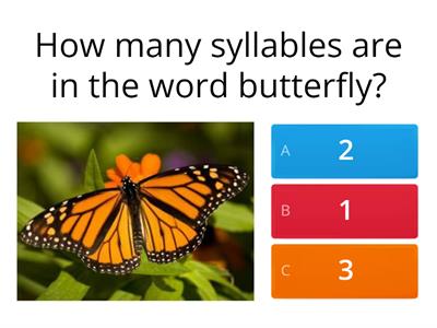 Insect Syllable Activity