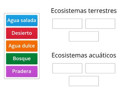 Tipos de ecosistemas