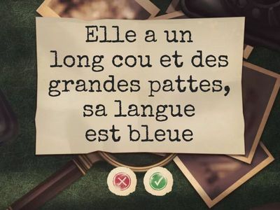 devinettes animaux (compréhension en lecture)