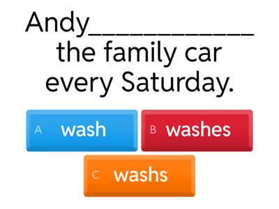 Present Simple Quiz - Affirmative and Negative