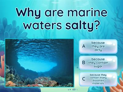 Level 3 - Marine Waters