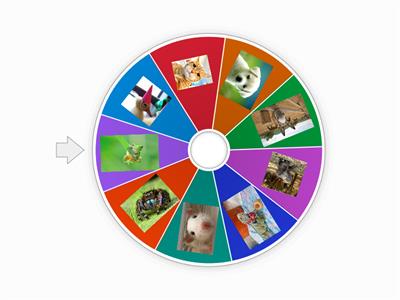 I like/I don't like ... (animals)