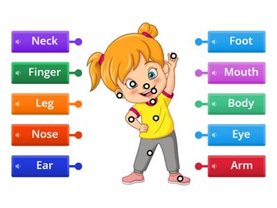 Частини тіла 2 клас