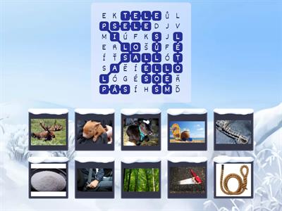 Mám maso! Mám sele!