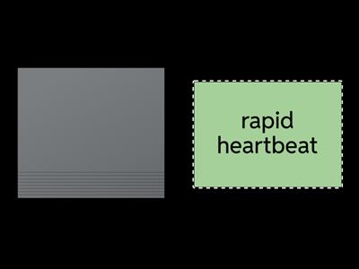 who/which/that/where/when