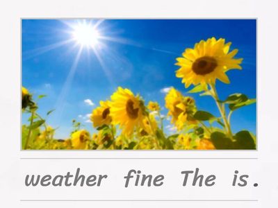 Reading Starter Unit 4 / 4 