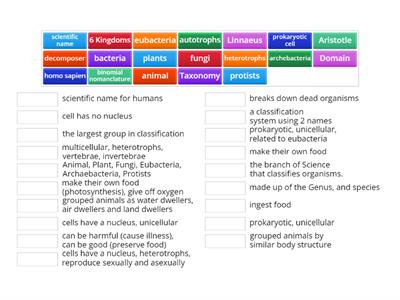 classification vocabulary review