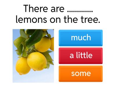 Much, many, a lot of, a few, a little, some
