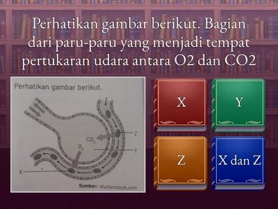 Sistem Ekskresi Manusia (Bab 2)