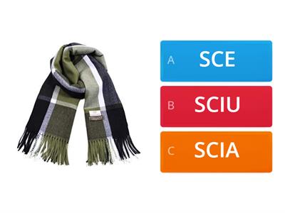 SCE-SCI-SCIO-SCIA-SCIU per Cristian