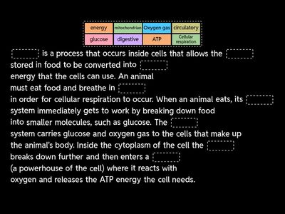 Cellular Respiration