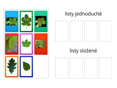 jednoduché a složené listy