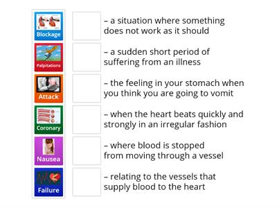 Grade 11- 7.2: the heart  