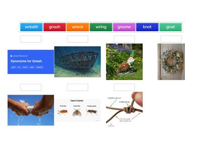 WS-WWS-Sort 40- new vocabulary