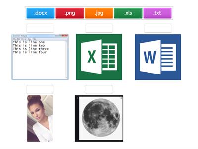 File Extensions or File Types