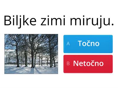 Biljke i životinje zimi