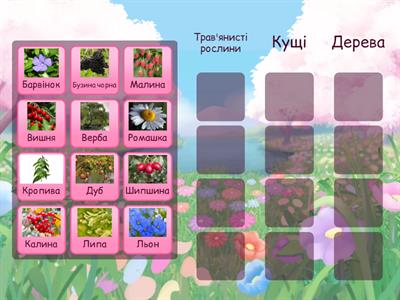 Види рослин