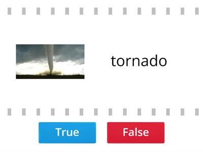 Prime Time-2  5  disasters (True/False)