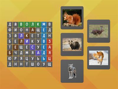 Дикие животные