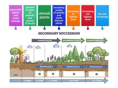 Secondary Succession
