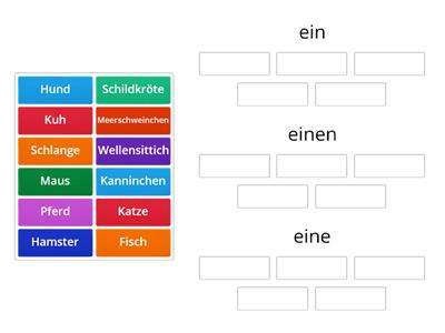 Haustiere ein/eine/eine