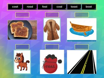 Match the words with the correct picture