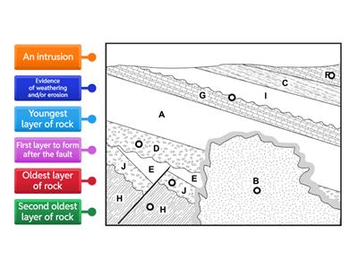 Relative Dating Practice 1