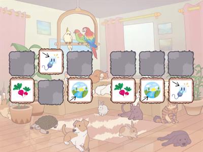 Автоматизація Р