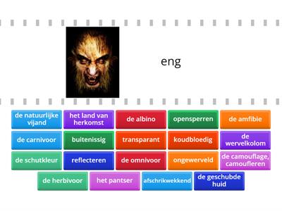 Staal - Buitenissig 1 (Groep 7/8)