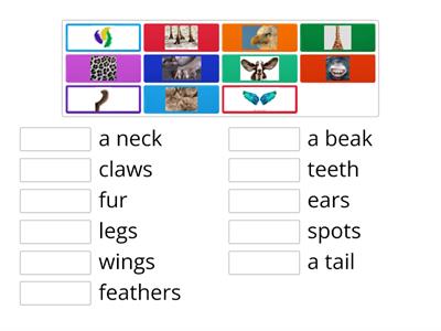 Animal body parts, Steps Plus 4, Unit 5