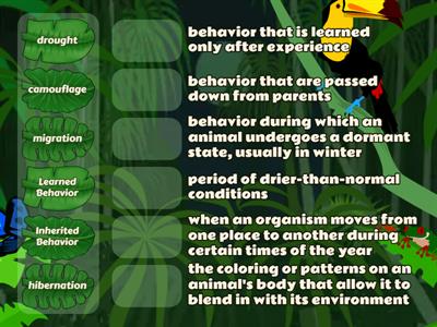 Survival in Environments