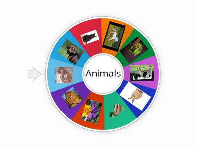 Animal Wheel