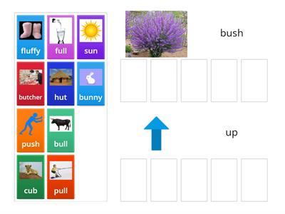 U as /oo/ and U as /u/